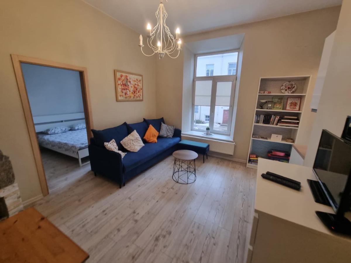 Igo Apartment Uzupis 维尔纽斯 外观 照片